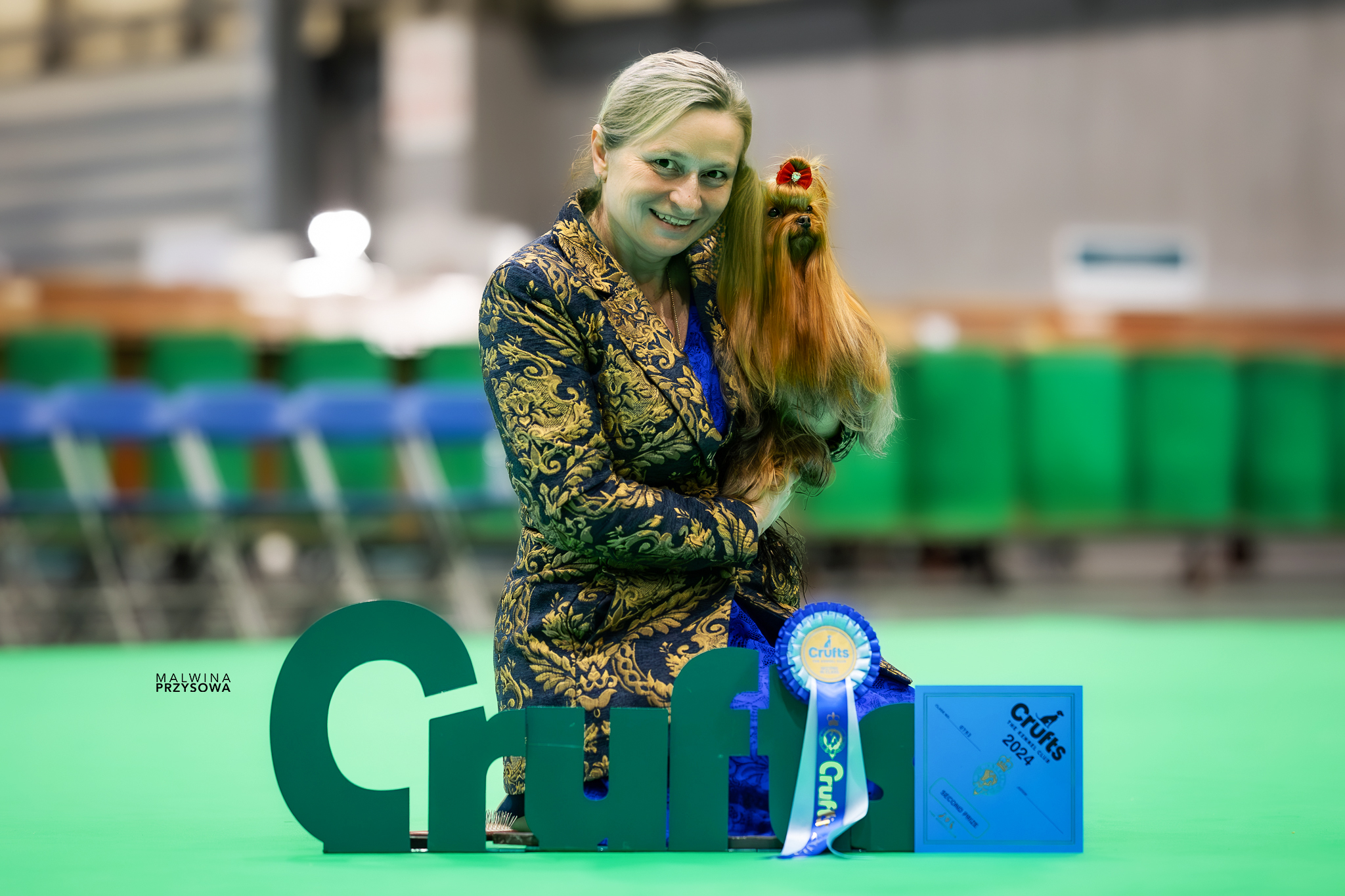 Krycí pes Yorkshire teriér